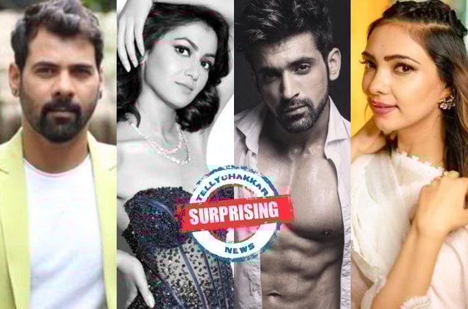 SURPRISING! 10 actors who are no more a part of Zee TV's longest-running show Kumkum Bhagya and fans miss them to the core 