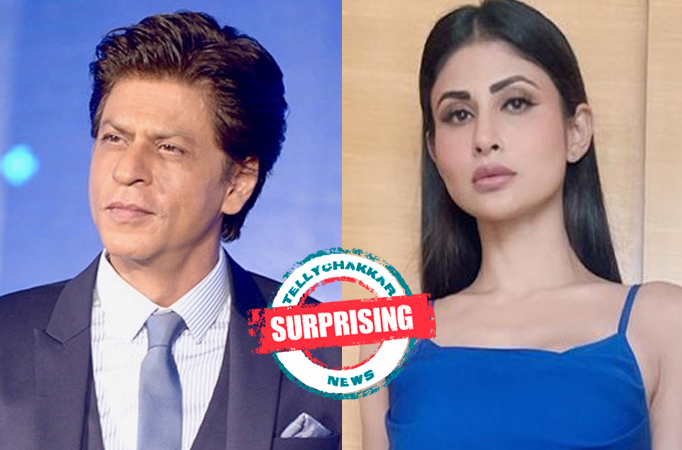 Surprising! Check out THESE B-town celebs who began their career with television shows Surprising! Check out THESE B-town celebs who began their career with television shows