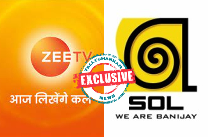 Exclusive! Zee TV to launch two new shows in January by SOL Productions and Sunny Side Up? Exclusive! Zee TV to launch two new shows in January by SOL Productions and Sunny Side Up?