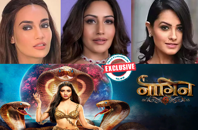 Exclusive! Surbhi Jyoti, Surbhi Chandna, and Anita Hassanandi will be back as Naagins for the Grand Finale of Naagin 6! Exclusive! Surbhi Jyoti, Surbhi Chandna, and Anita Hassanandi will be back as Naagins for the Grand Finale of Naagin 6!