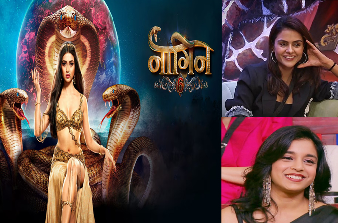 Fans want this ex-Bigg Boss winner to play Naagin rather than Priyanka Chahar Choudhary or Sumbul Touqeer Khan in Naagin 7 Fans want this ex-Bigg Boss winner to play Naagin rather than Priyanka Chahar Choudhary or Sumbul Touqeer Khan in Naagin 7