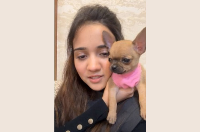 Ashi Singh talking about her pets Ashi Singh talking about her pets