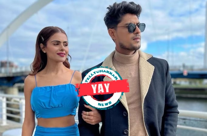Priyanka Chahar Choudhary, Ankit Gupta Priyanka Chahar Choudhary, Ankit Gupta