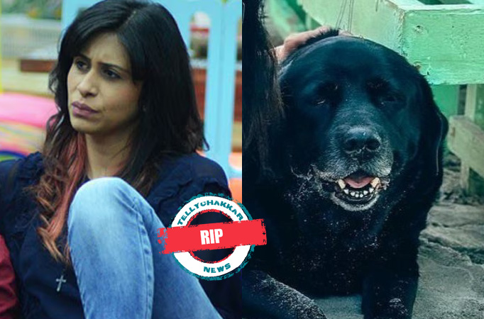 Kishwer Merchant Kishwer Merchant