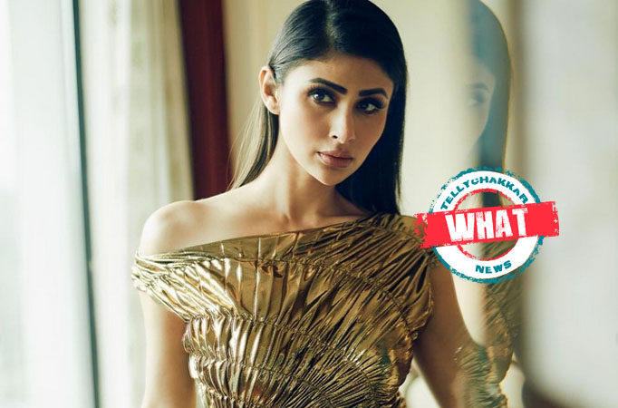 Mouni Mouni