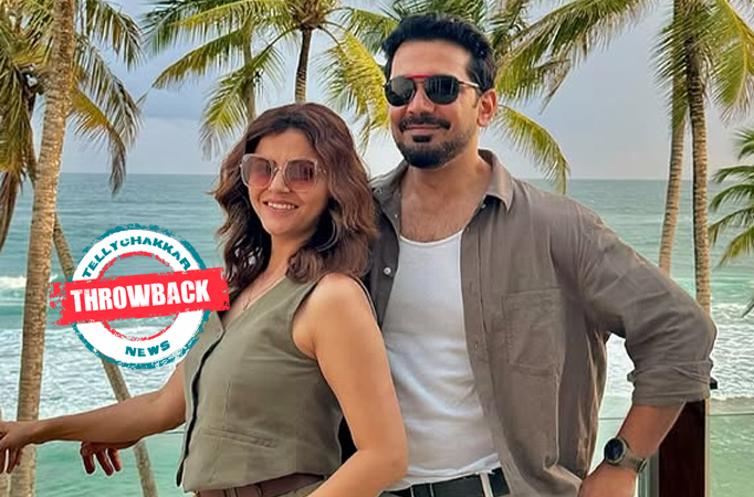 Rubina Dilaik, Abhinav Shukla