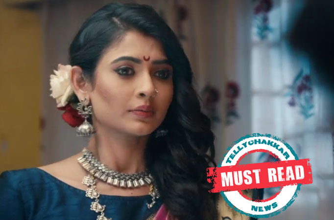 Mehndi Hai Rachne Waali: Must Read! Pallavi has mixed feelings about the DNA report Pallavi