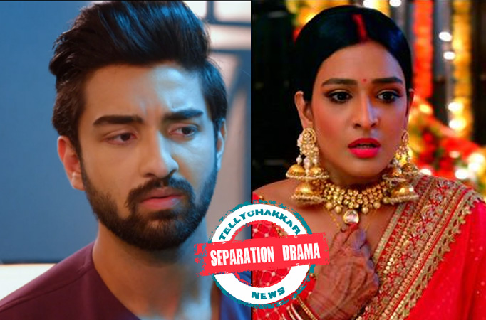 rishi-lakshmi-separation rishi-lakshmi-separation