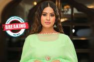 Krishna Mukherjee