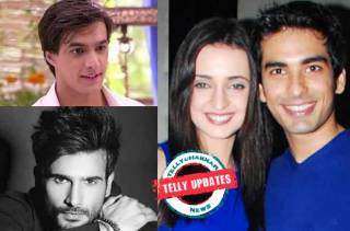 Telly updates