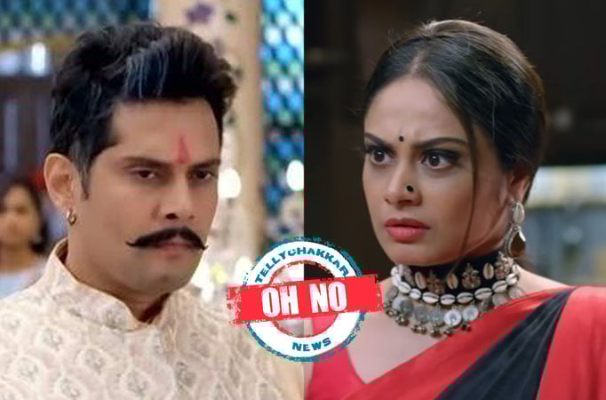 Oh No! Molkki: Frustrated Virendra kicks Sakshi out of the house Molkki