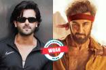 Whoa! Ajooni's Shoaib Ibrahim could have easily stepped into Ranbir Kapoor's Shamshera role, here's the proof