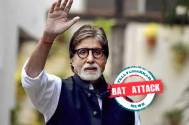 BAT ATTACK! Amitabh Bachchan shares details of how bats are at his home Jalsa are terrifying the Bachchan family