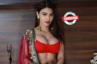 Shocking! When Sherlyn Chopra made headlines for revealing that she had s*x for money
