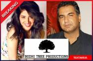 Bodhi Tree Productions to launch its next on Star Plus!