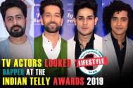  Indian Telly Awards 2019