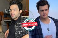 AUDIENCE PERSPECTIVE! Parth Samthaan and Mohsin Khan should get back to doing shows apart from music videos