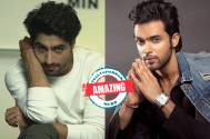 Amazing! From Harshad Chopda to Parth Samthaan, THESE celebs can participate in this reality dating show
