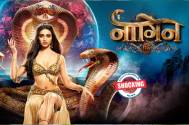 Shocking! These actresses refused the role of Pratha in Naagin 6