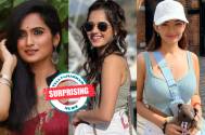 SURPRISING! These television actresses were offered Punyashlok Ahilyabai before Aetashaa Sansgiri 