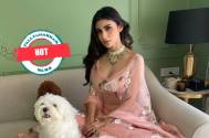 Hot! Mouni Roy Looks Sizzling In These Amazing Outfits