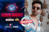 Bigg Boss 16: Exclusive! Aamir Ali backs out of the show at the last moment 