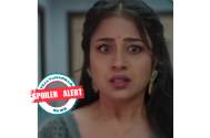 'Chikoo Ki Mummy Durr Kei': Nupur gets to know the truth about Mini 