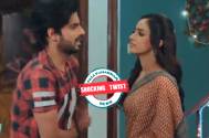 Shocking Twist! Yeh Hai Chahatein: Preesha finds out that Rudra is Innocent!