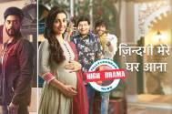 HIGH DRAMA: Sakhuja family to perform Karan’s LAST RITES in Star Plus’ Zindagi Mere Ghar Aana?