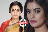Shubh Laabh – Aapkey Ghar Mein: Upcoming TWIST! Savita follows the goons to get back Shree but gets hit on her head