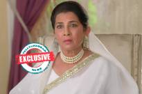EXCLUSIVE! Apna Time Bhi Aayega's Gargi Patel JOINS the cast of Colors' Fanaa: Ishq Mein Marjawan 3