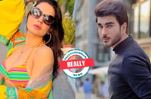 REALLY! Ameesha Patel breaks her silence over her dating rumors with Pakistani actor Imran Abbas