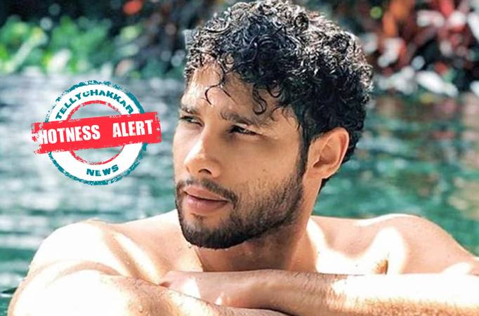  Hotness Alert! Siddhant Chaturvedi Looks Extremely Hot in these Shirtless Looks